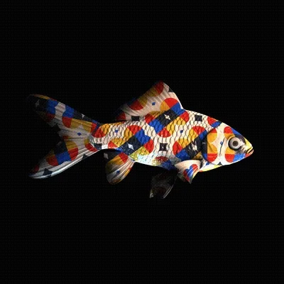 Cryptofish Io