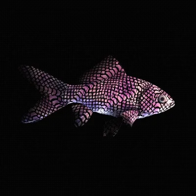 Cryptofish Io