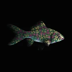 CryptoFish #3367