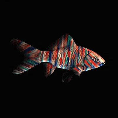 Cryptofish Io
