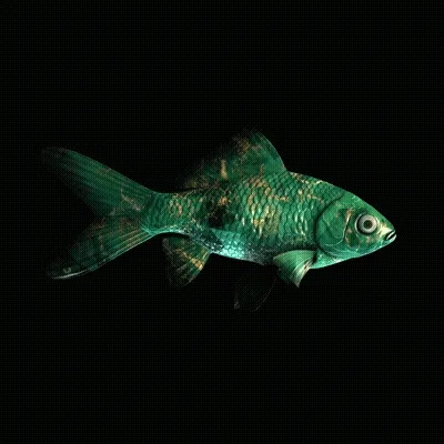 Cryptofish Io