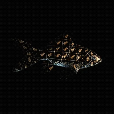 Cryptofish Io