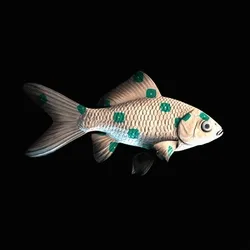 CryptoFish #424