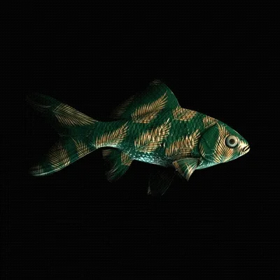 Cryptofish Io