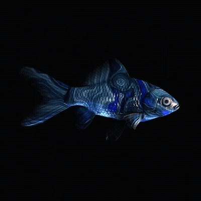 Cryptofish Io