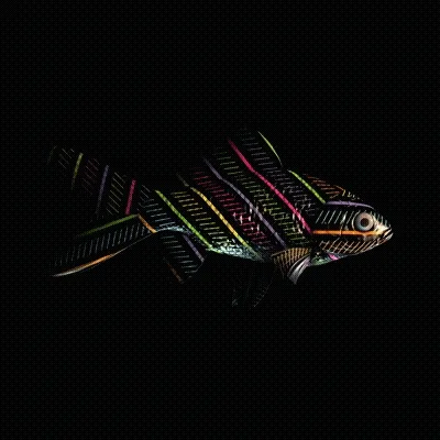 Cryptofish Io