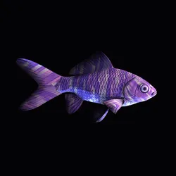 5560