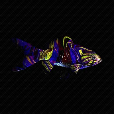 CryptoFish #4430