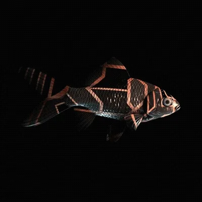 CryptoFish #2933
