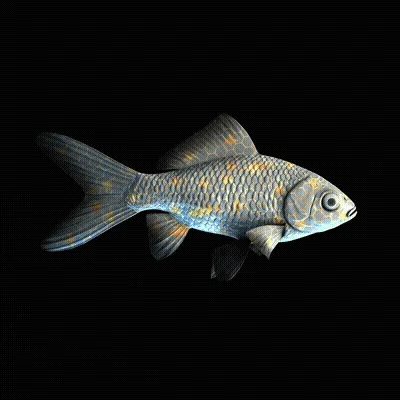 Cryptofish Io