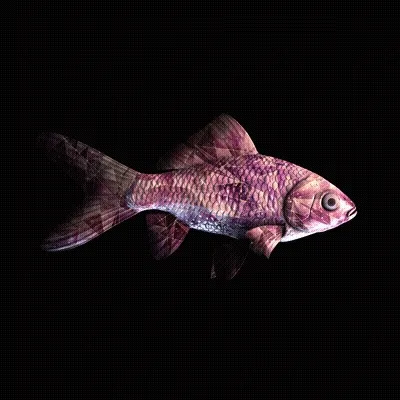 Cryptofish Io