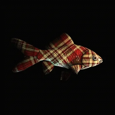 Cryptofish Io