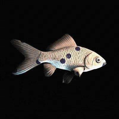 CryptoFish #2623