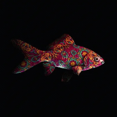 Cryptofish Io