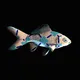 CryptoFish #5311