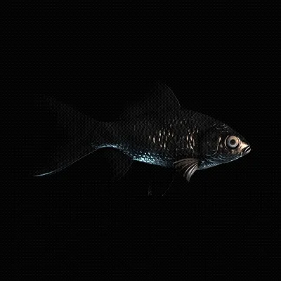 CryptoFish #6908