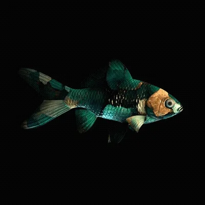 CryptoFish #2791
