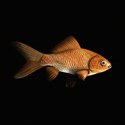 CryptoFish #3136