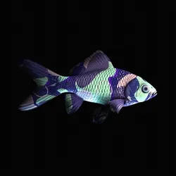 CryptoFish #2091