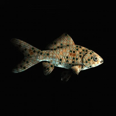 Cryptofish Io