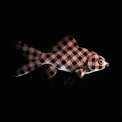 CryptoFish #505