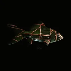 CryptoFish #6733