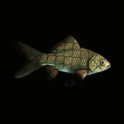 CryptoFish #1272