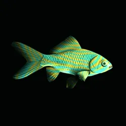 CryptoFish #457