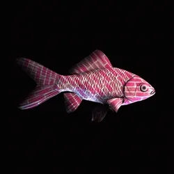 CryptoFish #1411