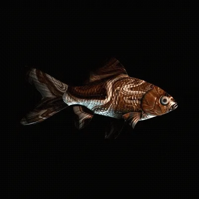 CryptoFish #2503