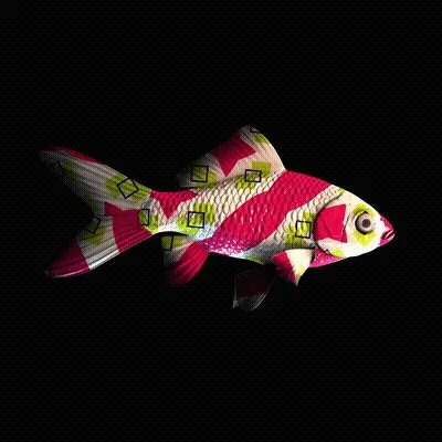Cryptofish Io