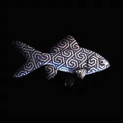 CryptoFish #1407