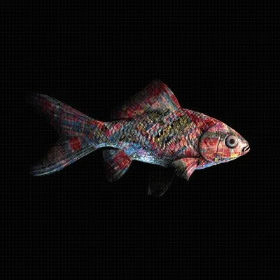 Cryptofish Io