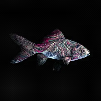 Cryptofish Io