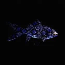 CryptoFish #2186