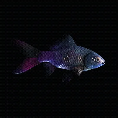 CryptoFish #6619
