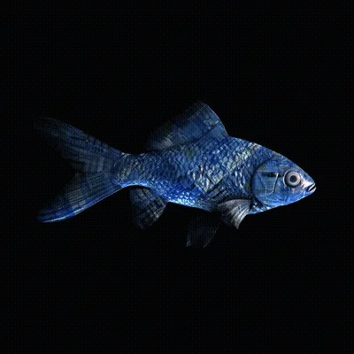 CryptoFish #2669