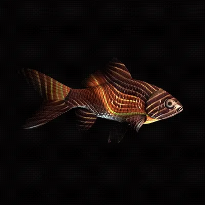 Cryptofish Io