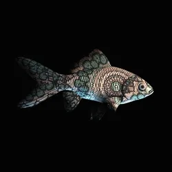CryptoFish #966