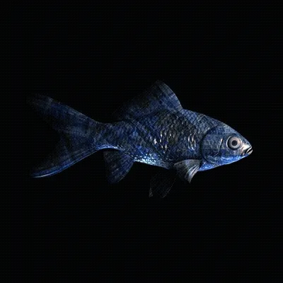CryptoFish #2483