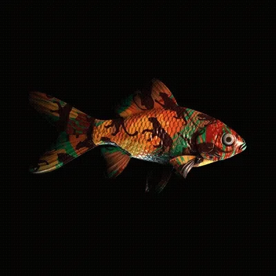 CryptoFish #337