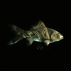 CryptoFish #2016