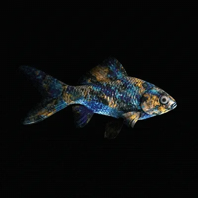 Cryptofish Io