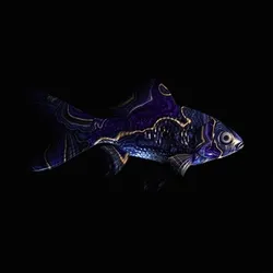 CryptoFish #6991