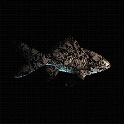 Cryptofish Io