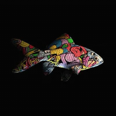 Cryptofish Io