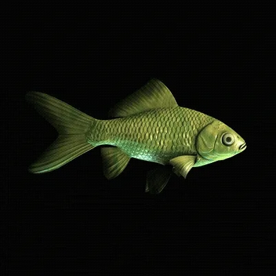 CryptoFish #2896