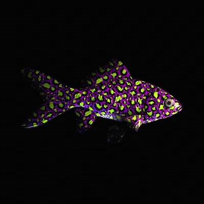 CryptoFish #4446