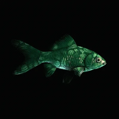 CryptoFish #2478
