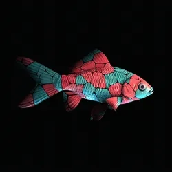 CryptoFish #2034
